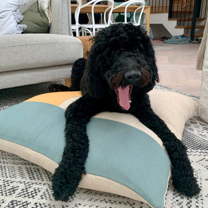 PLONK Dog Bed - Large